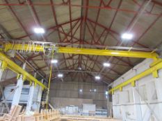 Loadtite 2000kg overhead single beam travelling gantry crane, 11.5m span, Stahl hoist, pendant