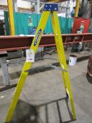 Werner 5 rung step ladder