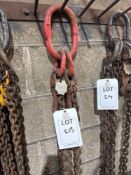 4 leg 10mm grade 8 1.2m lifting chains 4 tonne (cert until Feb 25)