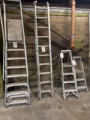 Twenty tread two section step ladder