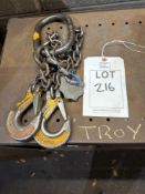 2 leg 7mm grade 8 0.8m lifting chains 1.5 tonne lifting chains (cert until Feb 25)