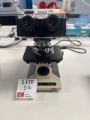 Olympus Brightfield light microscope