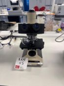 Olympus Brightfield light microscope