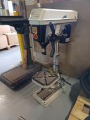 Minster AP340PD multi-speed pedestal drill (2022)