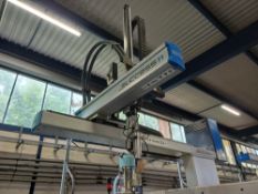 Sepro Success II pick and place robot (2021)