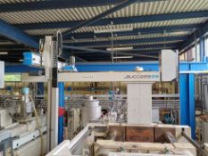 Sepro Success 33 pick and place robot (2021)