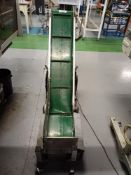 Crizaf LTCM/1 incline mobile flighted component conveyor (2003)