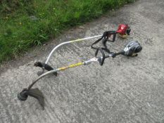 Titan TTL488GDO petrol strimmer & one unbranded strimmer