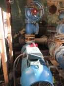 Weg W22 premium electric motor with pump & 2 manual shut off valves PoWRA: A ‘point of work’ risk