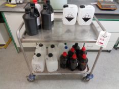 Stainless steel twin shelf mobile trolley
