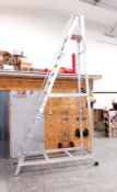 Lyte Mobile Warehouse Steps, open height 3.42m (delayed collection)