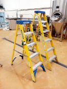 Werner 5 Rung Step Ladder & Youngman 6 Rung Step Ladder