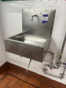 Stainless Steel Knee Operated Sink and an Eyewash Station