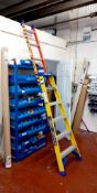 Werner Leansafe x3 Multipurpose ladder