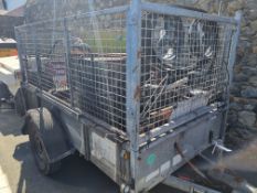 IFOR WILLIAMS SINGLE AXLE TRAILER