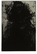 Glenn Brown – Layered Portrait (after Urs Graf) 3, 2008, Etching on paper, Velin Arches 300 gsm (