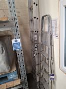 LYTE 12 run x 2 extendable ladder