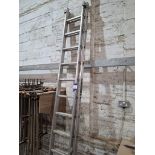 Youngman 200 11 run double extension aluminium ladder