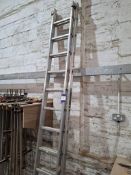 Youngman 200 11 run double extension aluminium ladder