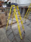 Werner 6 tread fibreglass stepladder
