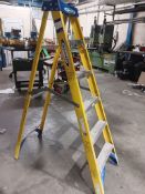 Werner 6 tread fibreglass ladders
