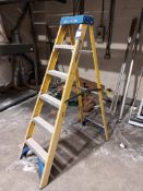 Werner 6 tread fibreglass ladders