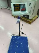 Steinburg Platform Scale