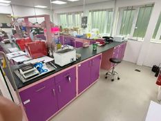 Lab Bench with Cupboards and Knee Hole
