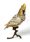 A Bergmann type cold painted bronze of a Cockatoo,  stamped Geschützt, 33 053
