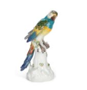 A MEISSEN MODEL OF A MACAW 20TH CENTURY