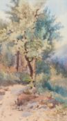 19TH CENTURY ENGLISH SCHOOL A WOODLAND PATH
