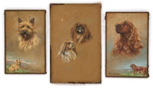 PERSIS KERMSIE (1884-1955) THREE PASTEL STUDIES OF DOGS