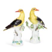A PAIR OF MEISSEN MODELS OF GOLDEN ORIOLES