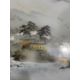A JAPANESE KUTANI PORCELAIN TRAY MEIJI PERIOD - Image 6 of 8