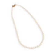 A CULTURED PEARL NECKLACE