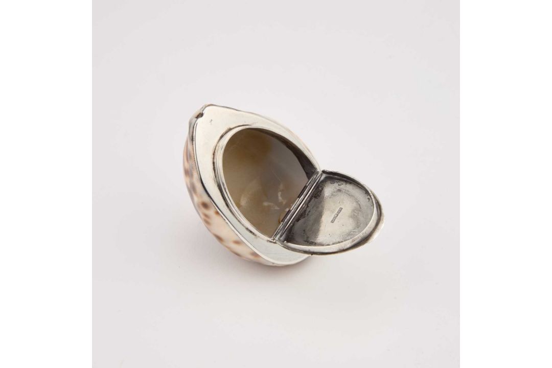 A GEORGE III SCOTTISH PROVINCIAL SILVER COWRIE SHELL SNUFF BOX - Image 4 of 8
