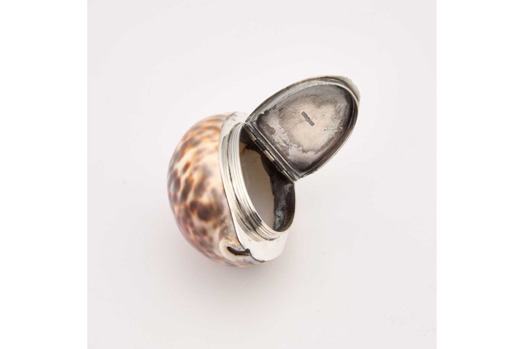 A GEORGE III SCOTTISH PROVINCIAL SILVER COWRIE SHELL SNUFF BOX - Image 3 of 8