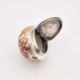 A GEORGE III SCOTTISH PROVINCIAL SILVER COWRIE SHELL SNUFF BOX - Image 3 of 8