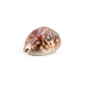A GEORGE III SCOTTISH PROVINCIAL SILVER COWRIE SHELL SNUFF BOX