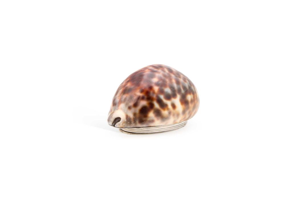 A GEORGE III SCOTTISH PROVINCIAL SILVER COWRIE SHELL SNUFF BOX - Image 1 of 8