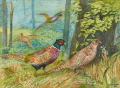D.M & E.M ALDERSON (20TH CENTURY) PHEASANTS IN A WOOD