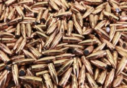 PRIVATE** Ammunition Auction 08-26-25