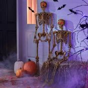 Frankie, skeleton, animated graveyard violinist, urban box, more