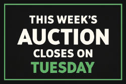 TUESDAY-Thanksgiving Week Pallet Auction | 11-25-2025
