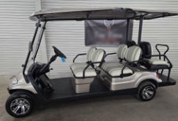 2019 Advanced EV LT-A6 Golf Cart, 22MPH, 48V, 6-Passenger