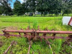 2 Row Custom Produce Cultivator