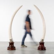 A Pair of Large Faux Elephant Tusks, Mounted on Stands. Circa 1970.