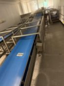 SYSPAL CONVEYOR.