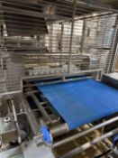 INFEED SYSTEM FOR SEPARATING AND SPREADING CHIPS.