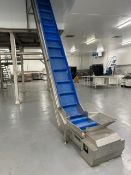 INCLINE CONVEYOR.